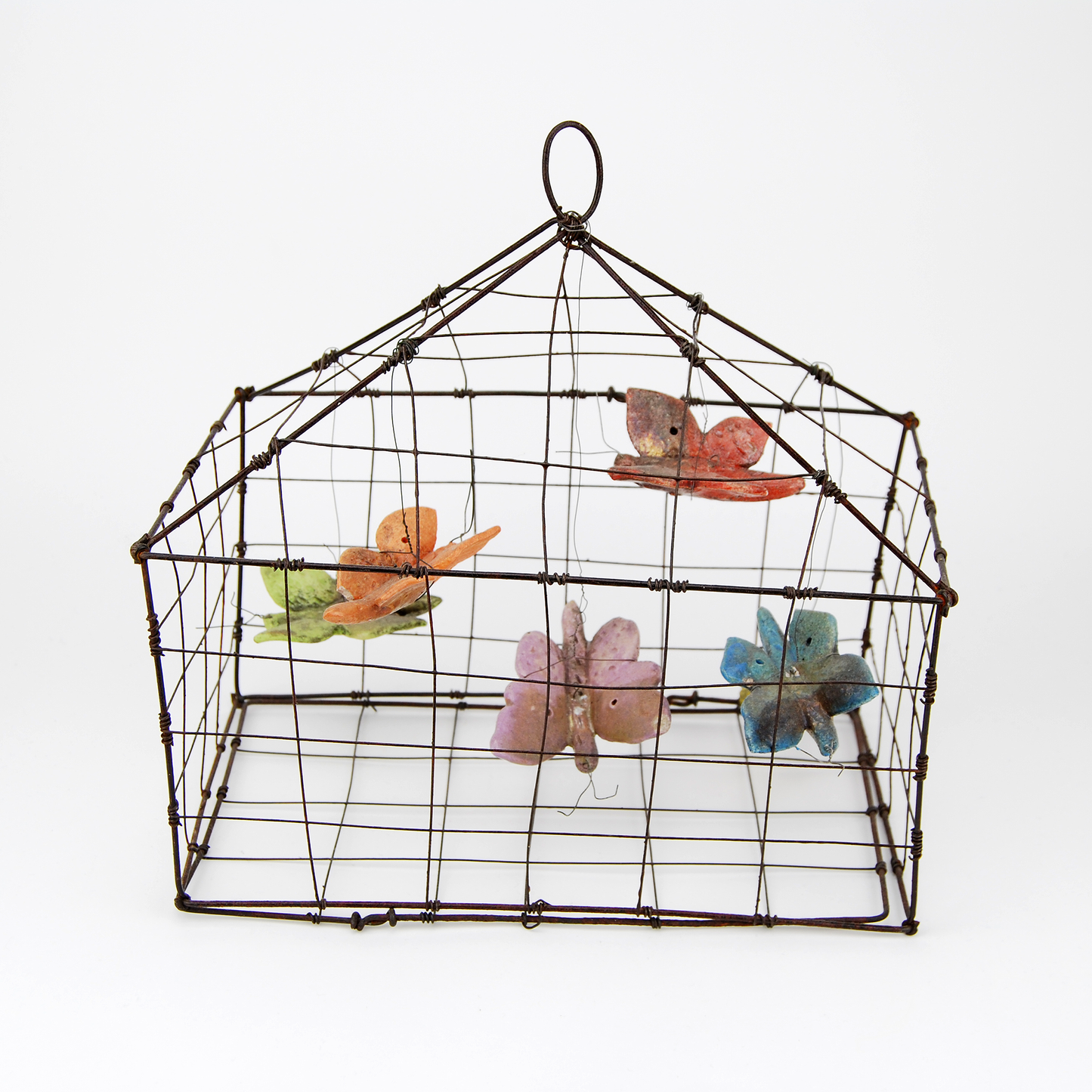 Butterflies in cage
